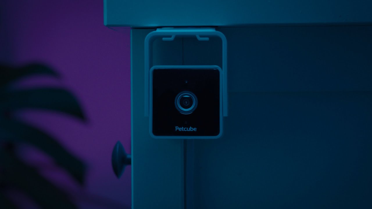 Introducing Petcube Cam - All-new Affordable Pet Camera With a Built-in Vet Chat
