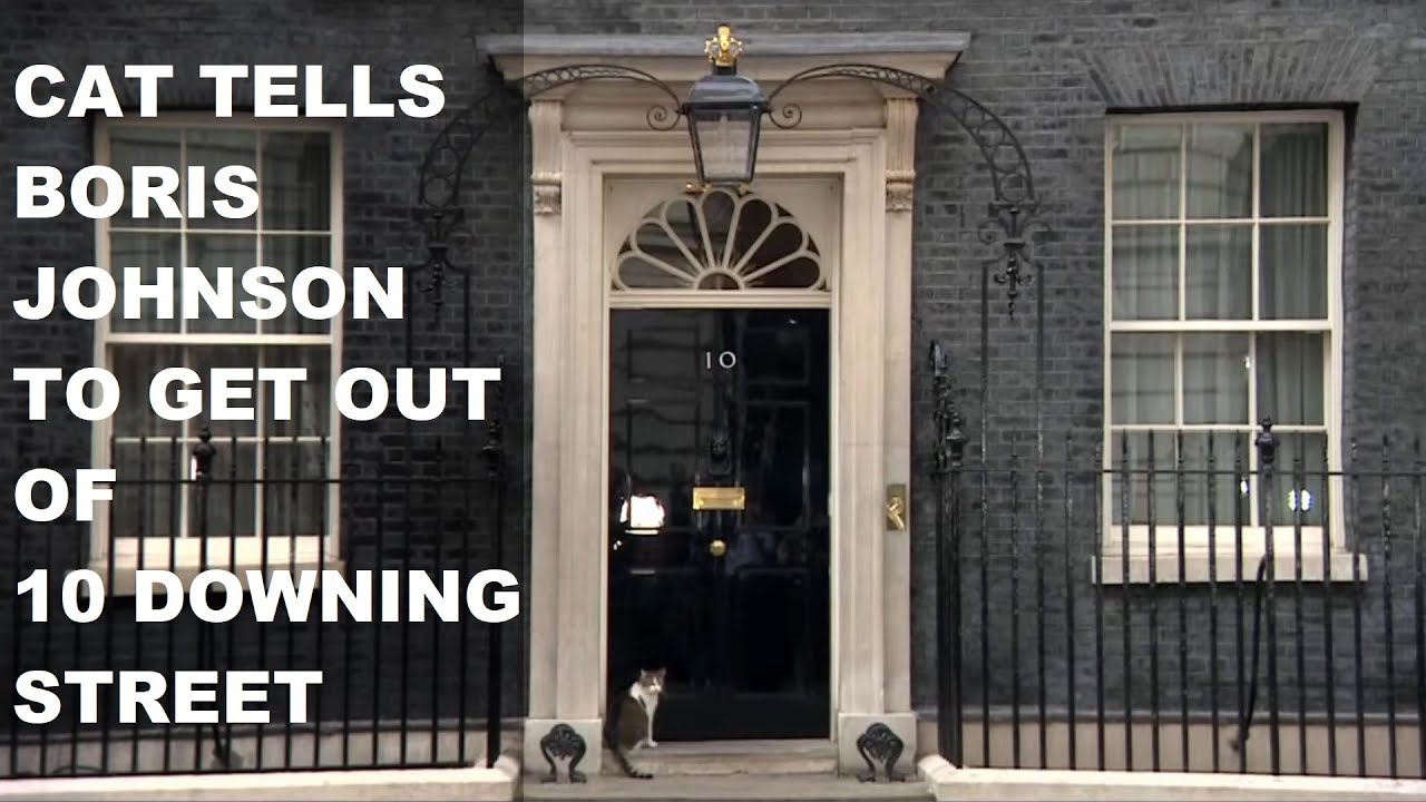 Larry the Cat Goes to Downing Street to Get British Prime Minister Boris Johnson to Resign