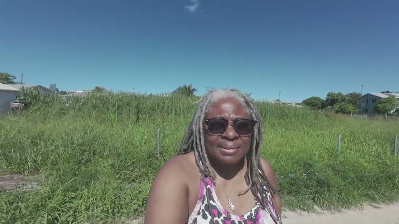 My  Wetland in Antigua    