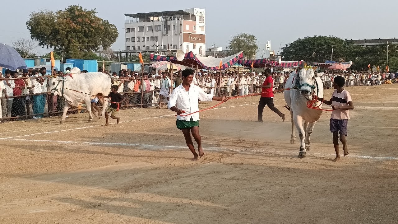 చెలిమిల్ల కిష్టారెడ్డిపేట సీనియర్స్ విభాగం 7వ జత గోపాలకృష్ణ పెద్దదగడ