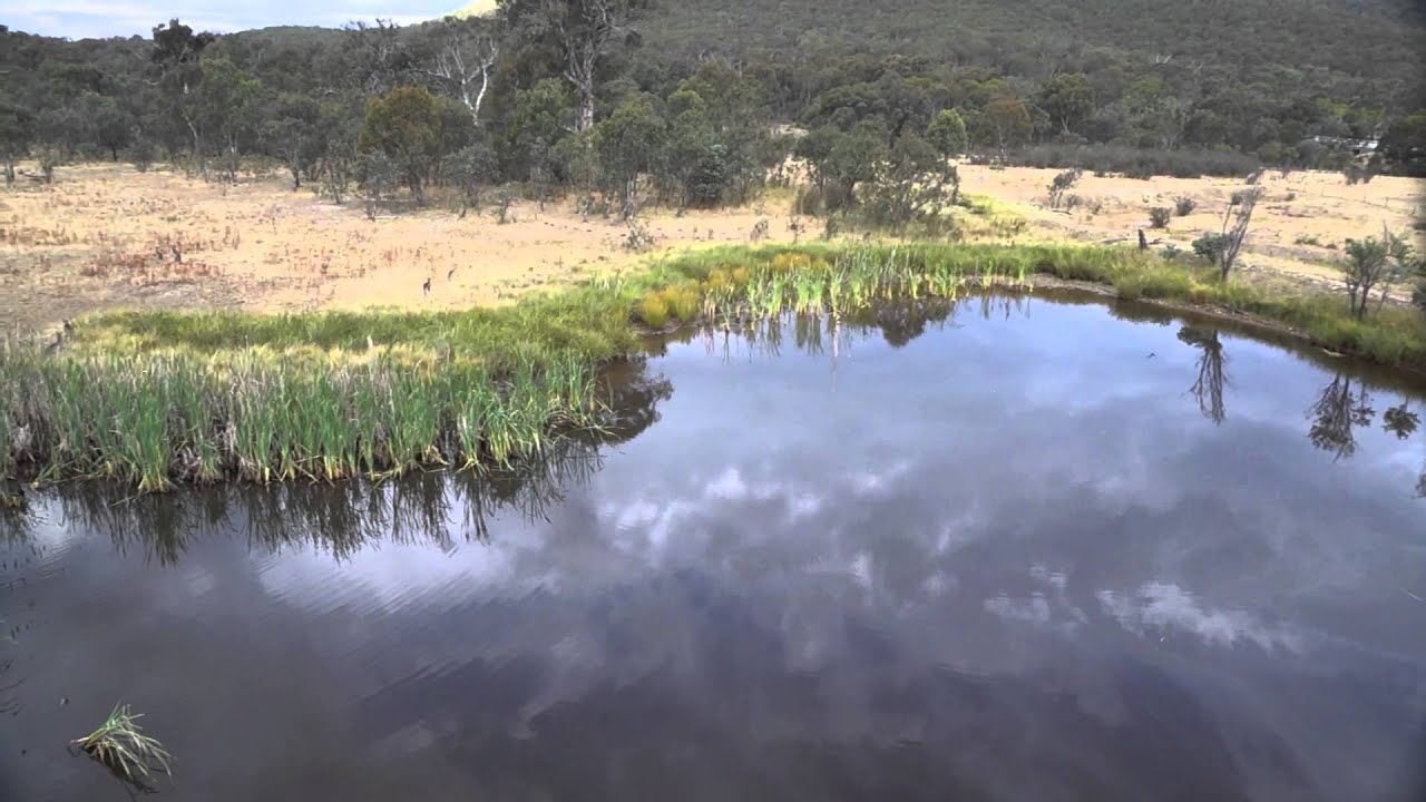 Canberra Nature Park - Aranda