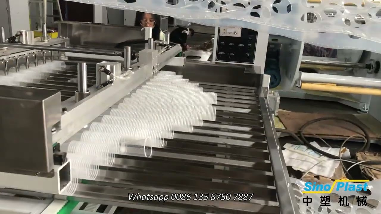 Plastic Cup Thermoforming Machine with belt type stacking machine