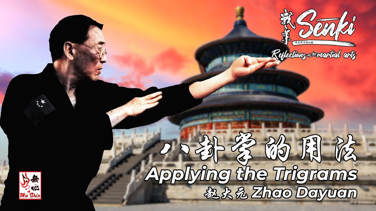 Zhao Dayuan - Applying the Trigrams - Senki - Episode 05
