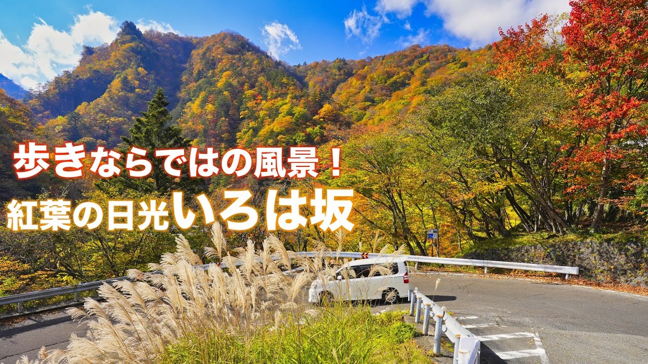 【紅葉2024】4K 奥日光【いろは坂】歩きならではの発見あり！絶景ウォーキング！撮影日11月3日