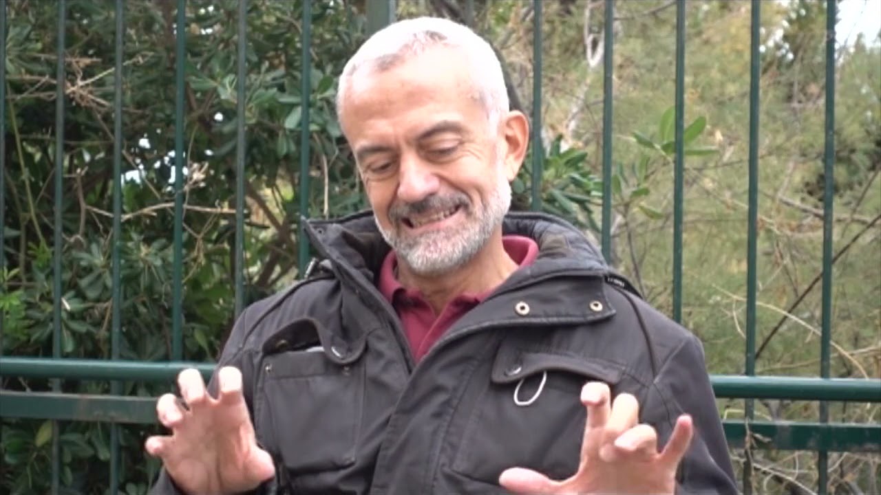 Gli intellettuali nell'Italia di oggi (Parte I)