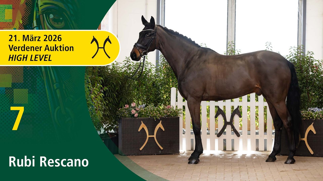 No.  7 Rubi Rescano by Rubin-Royal - Fidertanz | High Level Auction - OnLive - March, 21th - Clip3