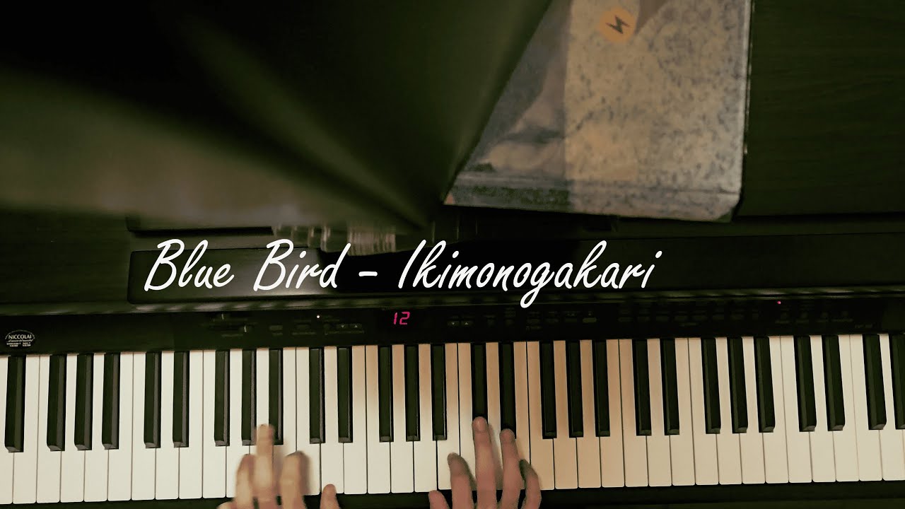 Blue Bird - ikimonogakari (piano cover)