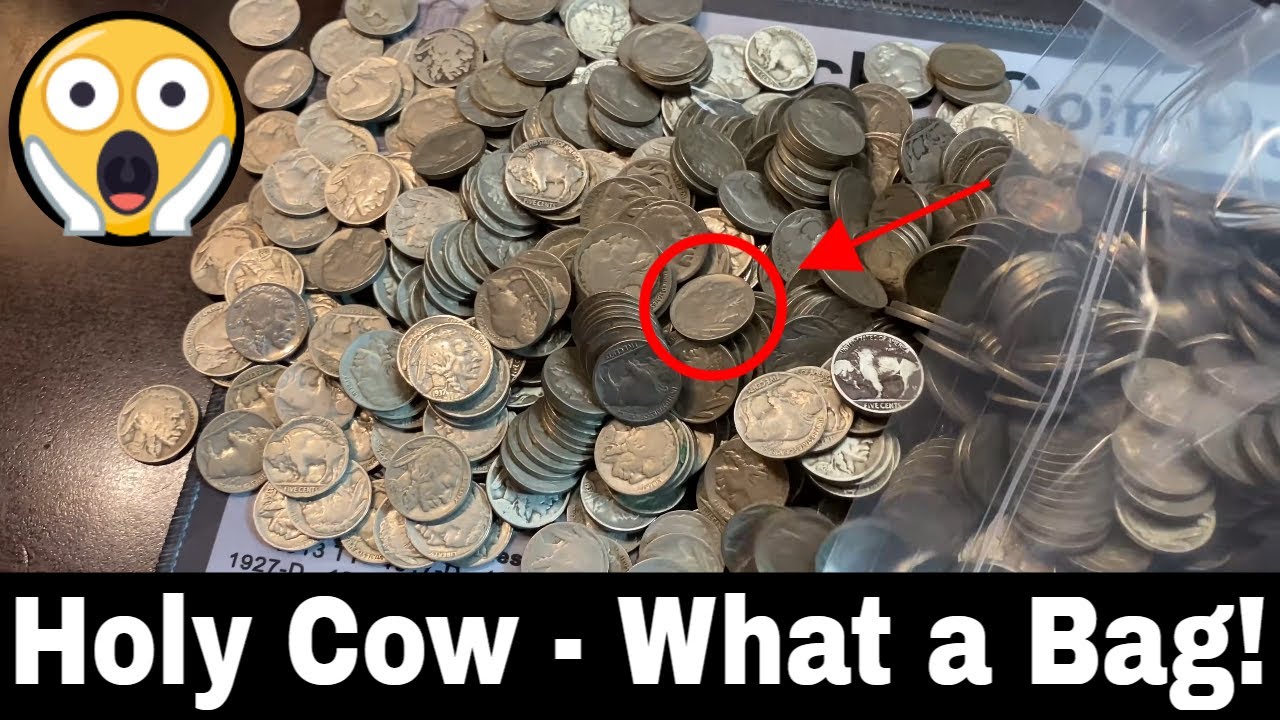 I Found Rare Nickels in This Bag of Buffalo Nickels