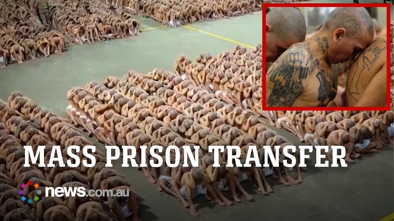 El Salvador 'gang members' frogmarched into mega-prison