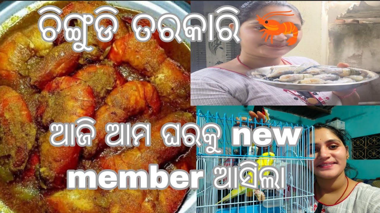 ଆମ ଘରକୁ new member ଆସିଲା ♥️ ଚିଙ୍ଗୁଡି ତରକାରି 🦐