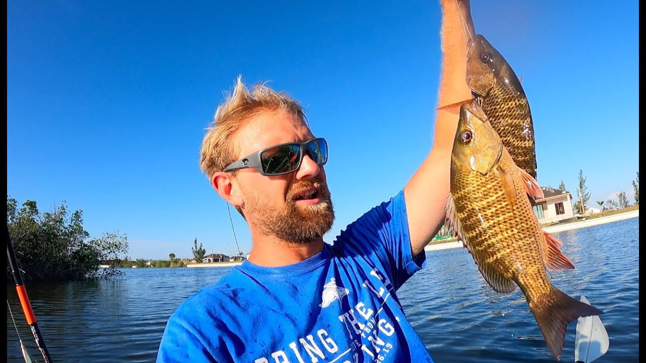 Mangrove Mania in Cape Coral Florida!