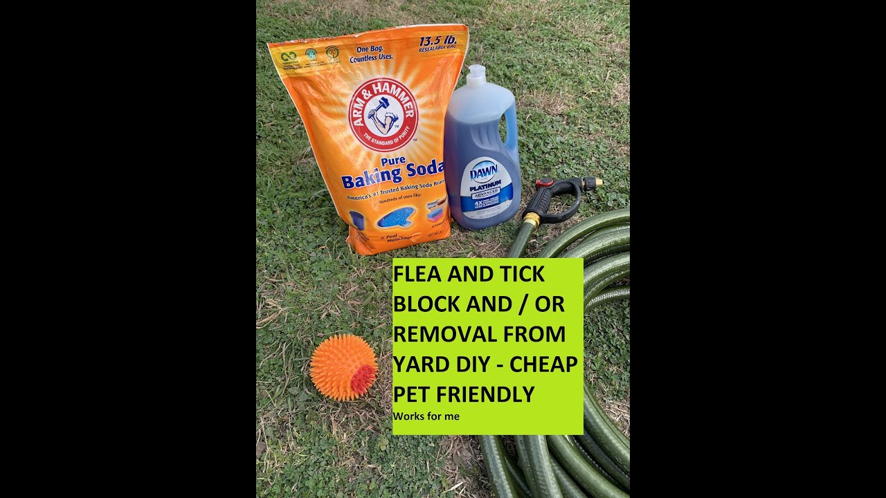 Flea and Tick In your yard Killer / Preventer DIY Cheap- works for me -👉CHECK SAFETY IN DESCRIPTION