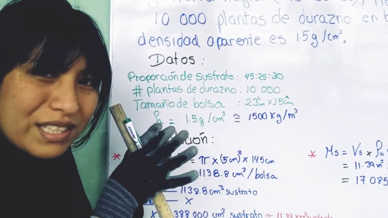 Cantidad de sustrato para propagar plantas forestales, frutales, etc