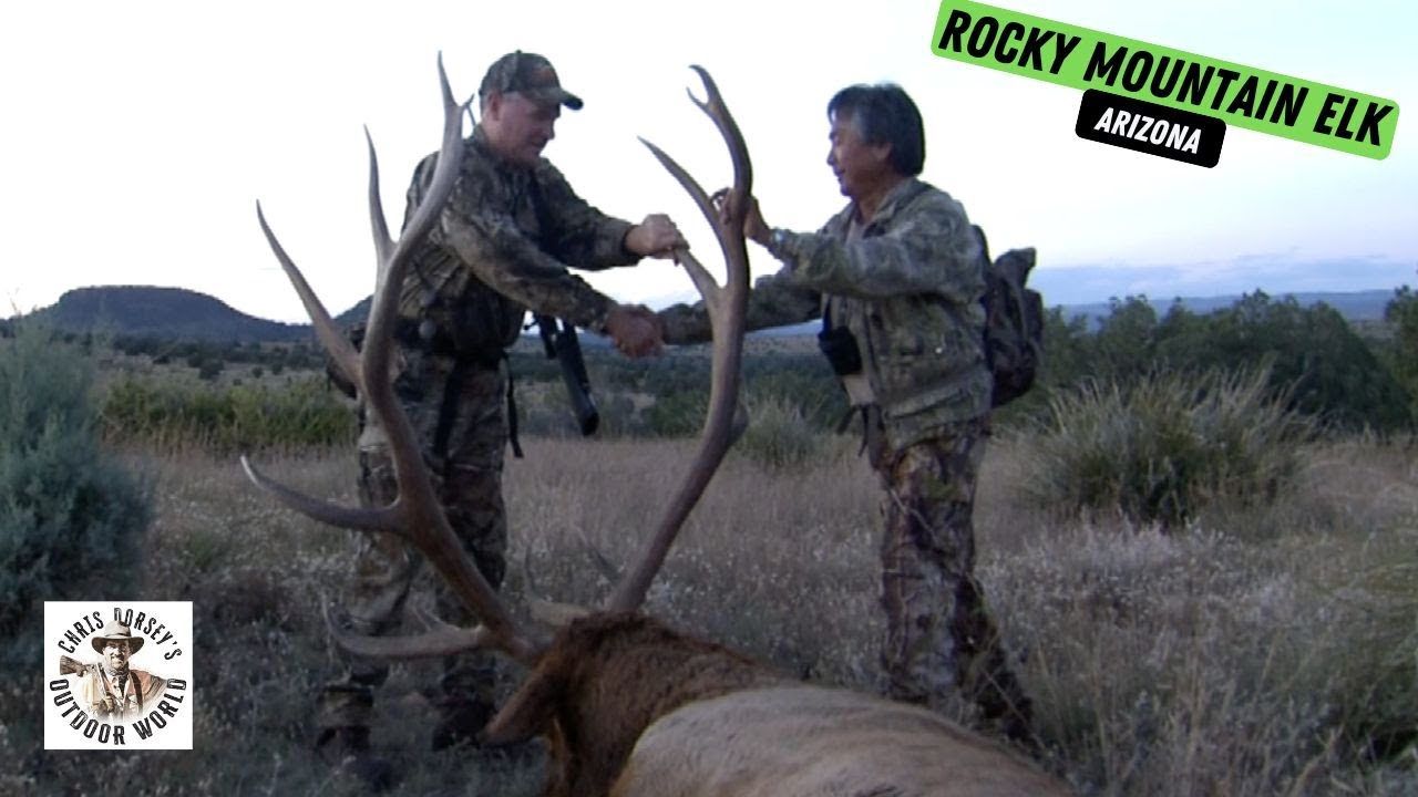 Monster 7x7 Elk в White Mountain Apache