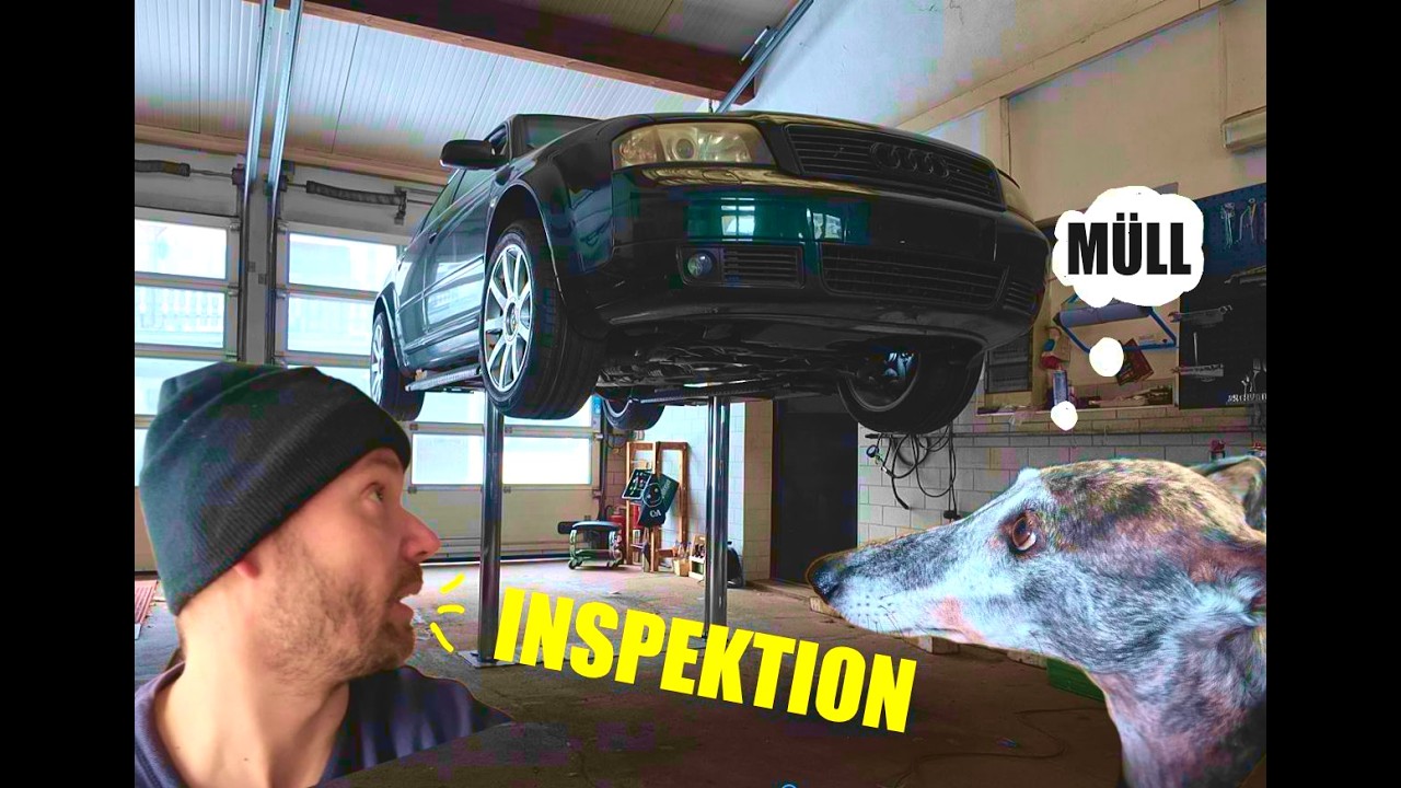 Horrorfund? Technik-Check am Low-Budget Audi C5 4B V8 ||  Inspektion auf der Hebebühne und mit VCDS