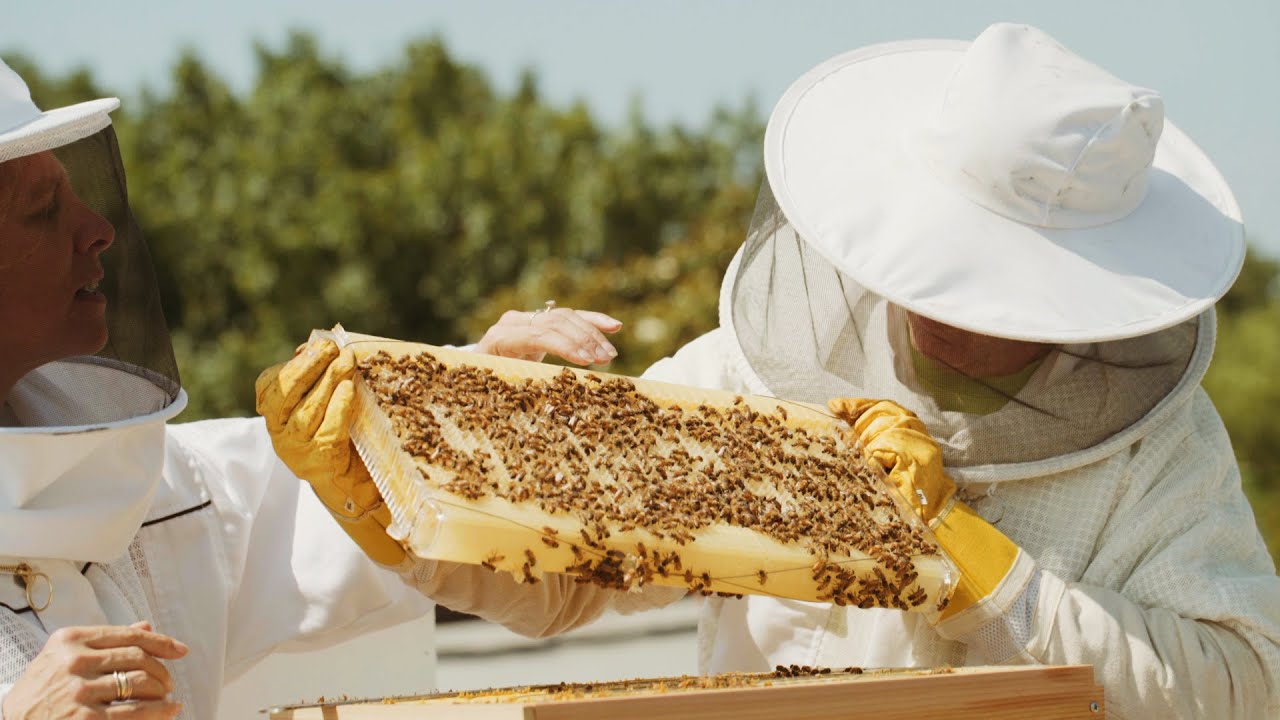 How a NASA engineer built his Flow Hive on a rooftop in Washington D.C.