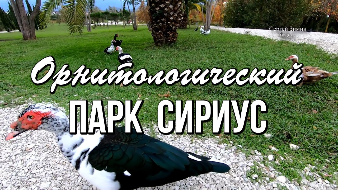 Орнитологический парк Сириус