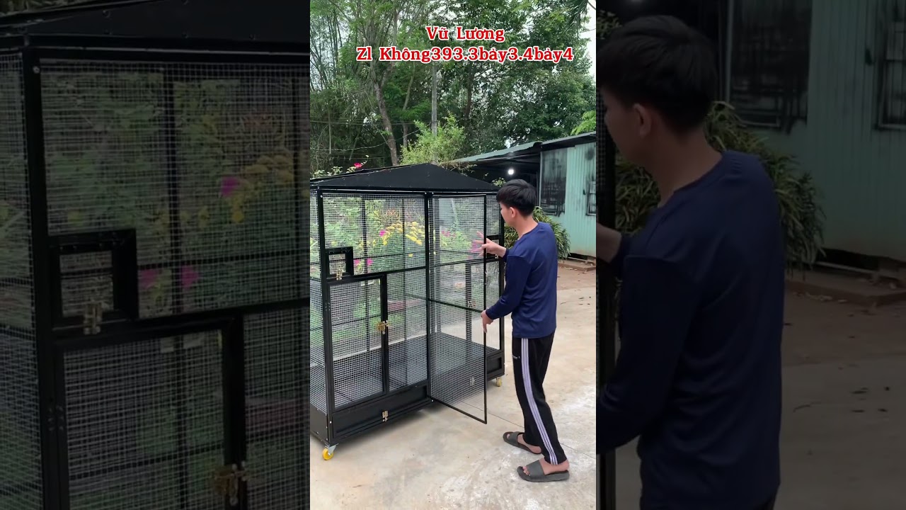 Aviary lắp gh&eacute;p Vũ Lương