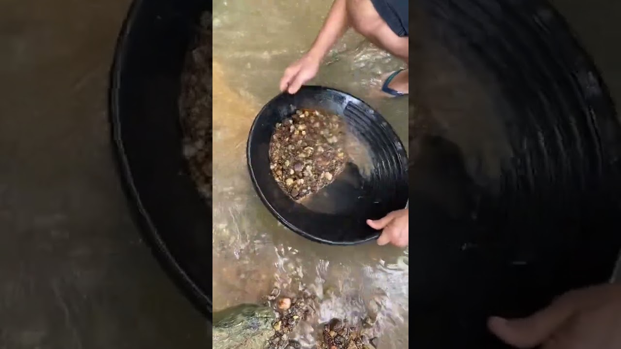 Como batear ouro #pedraspreciosas #minerais #ouro #garimpo #garimpeiro
