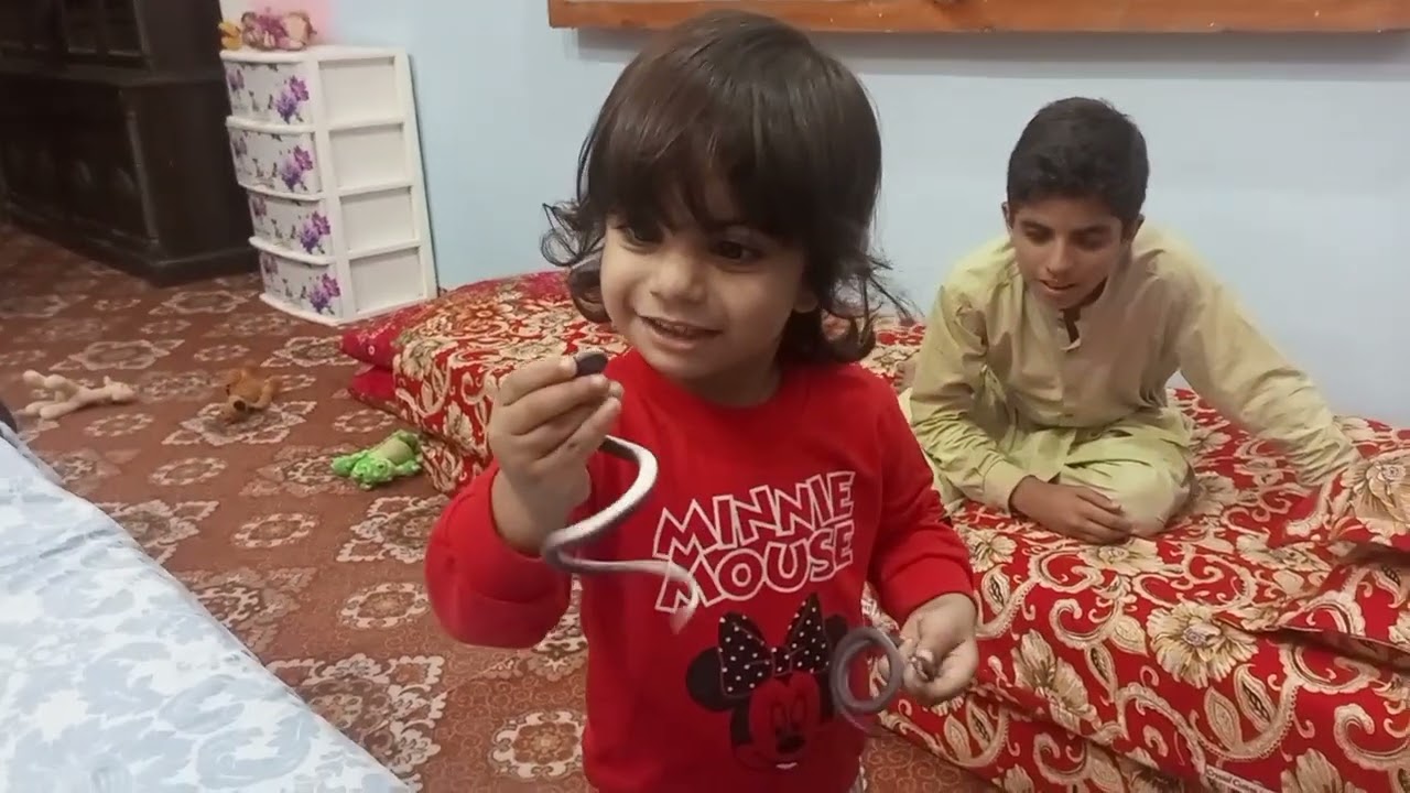 Mahbeer scared Daniyal  with the help of  rubber snake