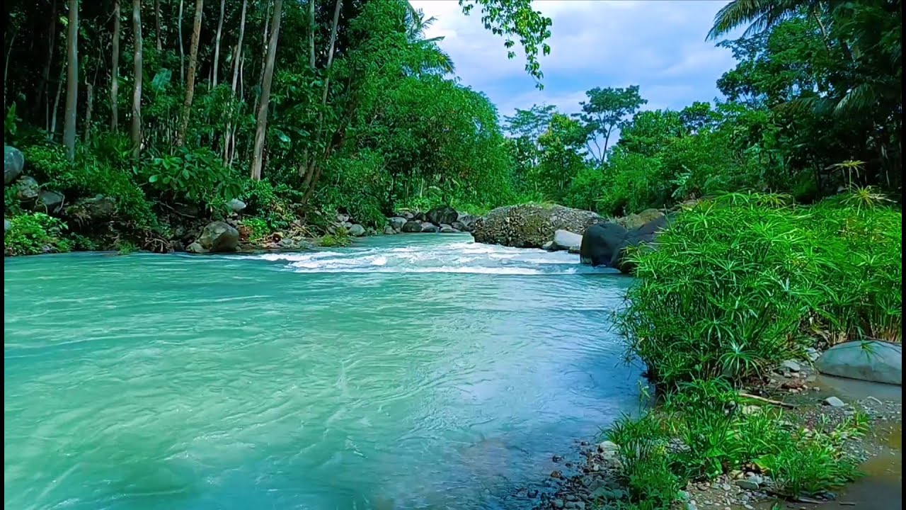 Calming Water Sounds – Peaceful River Stream Ambience for Deep Relaxation