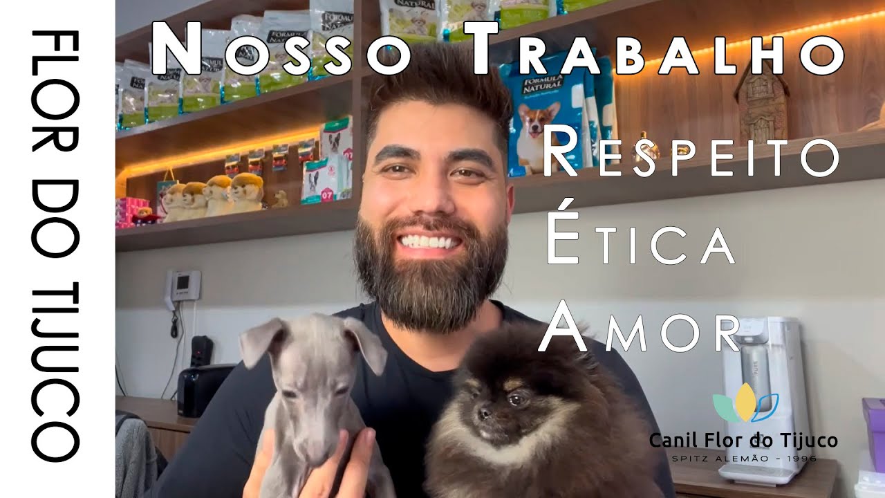 Sobre o Canil Flor do Tijuco - venha nos conhecer - Spitz Alemão é Pequeno Lebrel Italiano