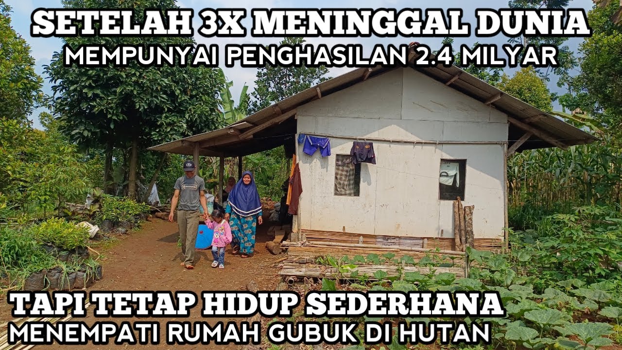 Setelah 3x Meninggal Memliki Penghasilan Ratusan Juta Dari Pohon Cengkeh Tinggal Di Tengah Hutan