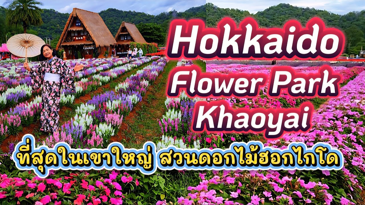 [221]Hokkaido Flower Park ที่สุดในเขาใหญ่ สวนดอกไม้ฮอกไกโดสวยมาก