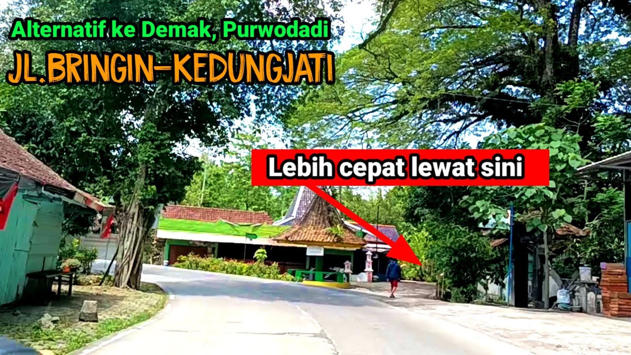 Jl. Bringin - Kedungjati jalur alternatif ke Demak, Kudus, Purwodadi