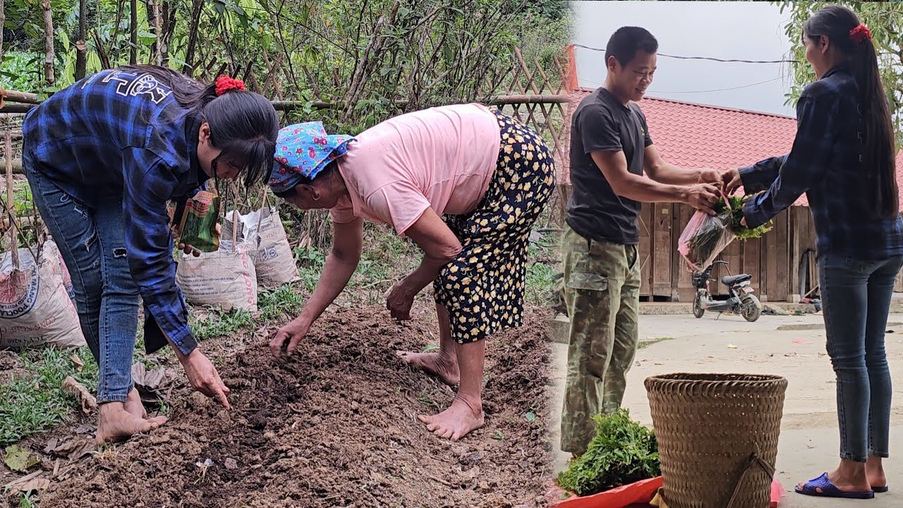 Harvesting Wild Vegetables - to sell - Giang and Ba planted their first seeds together