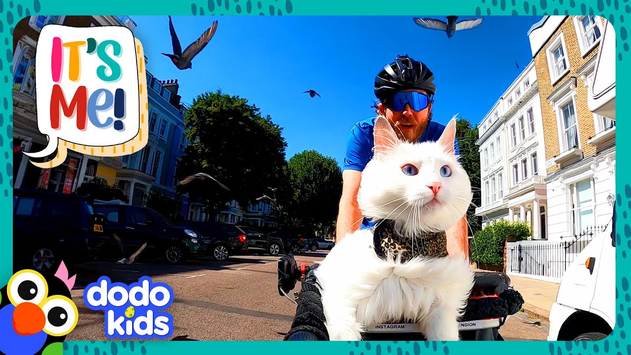 Princess Cat Loves Biking But CAN’T STAND One Thing... | Dodo Kids | It's Me