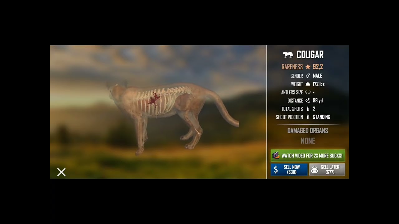 Играем в охоту 