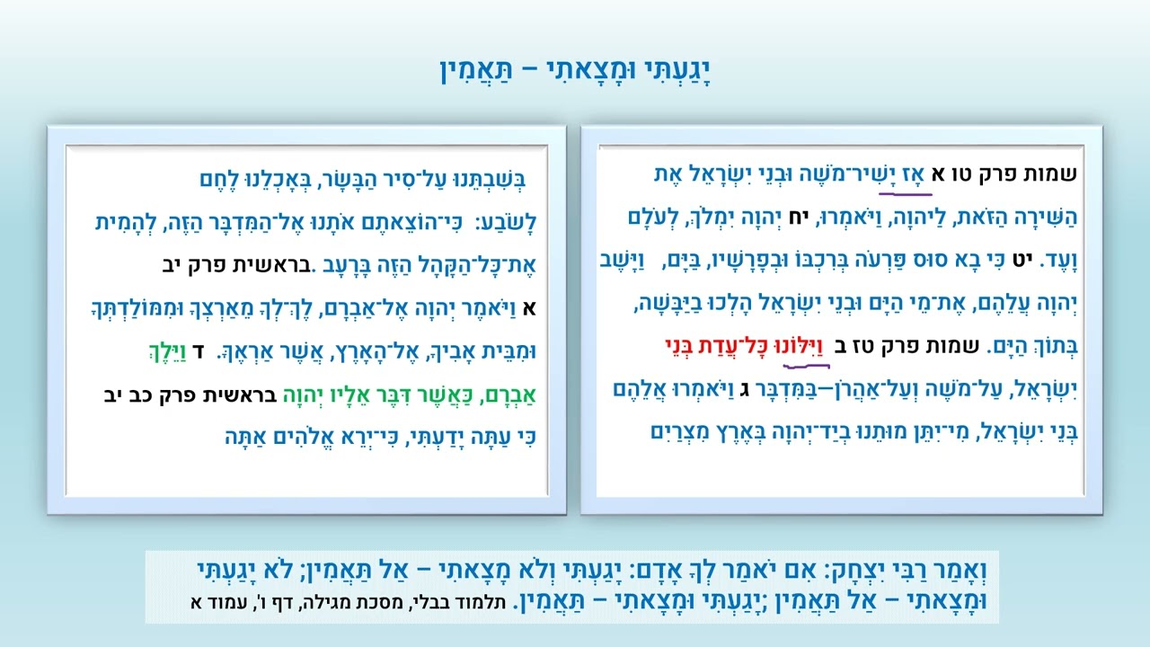 יָגַעְתִּי וּמָצָאתִי – תַּאֲמִין