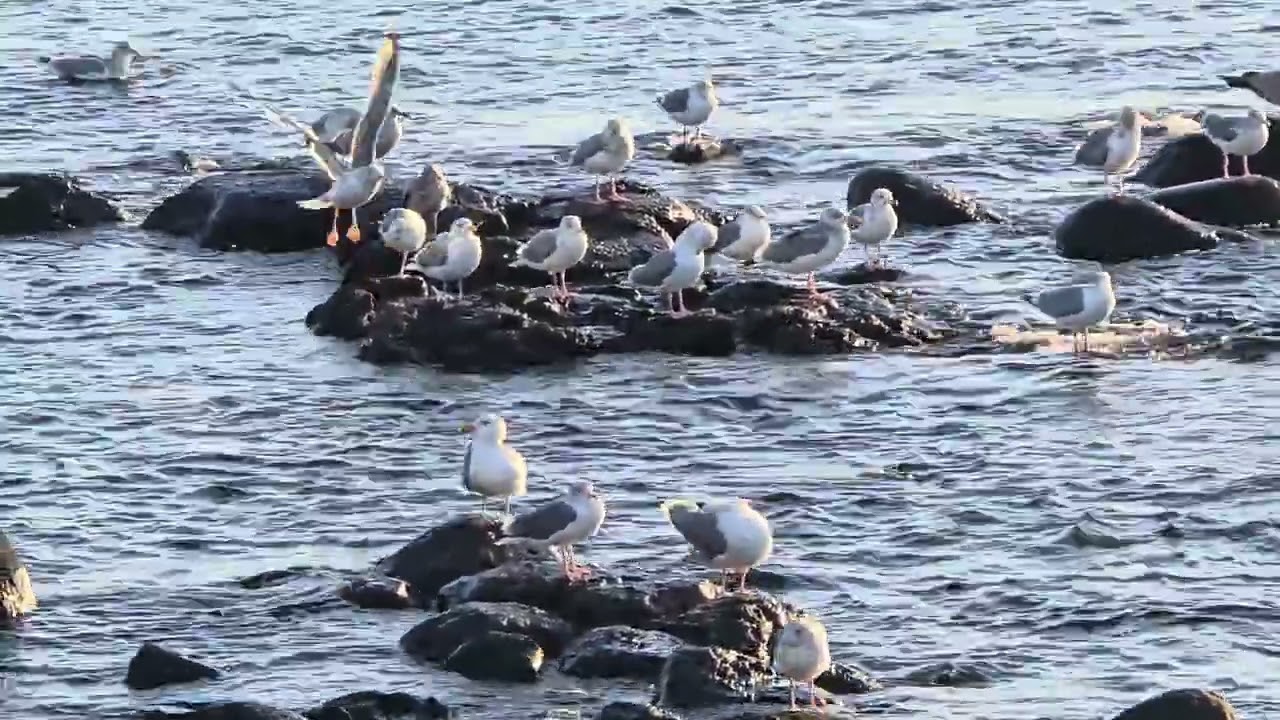 바다 #sea #최남단해안로 