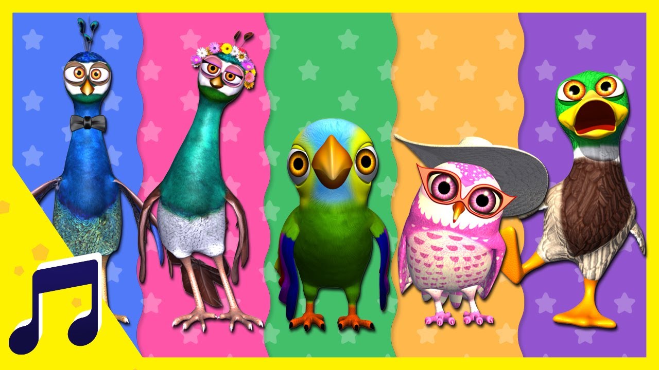 Canción de la Familia de las Aves | A Jugar