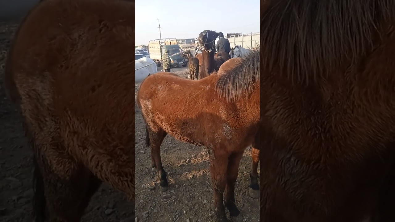 1 декабря 2025 г.