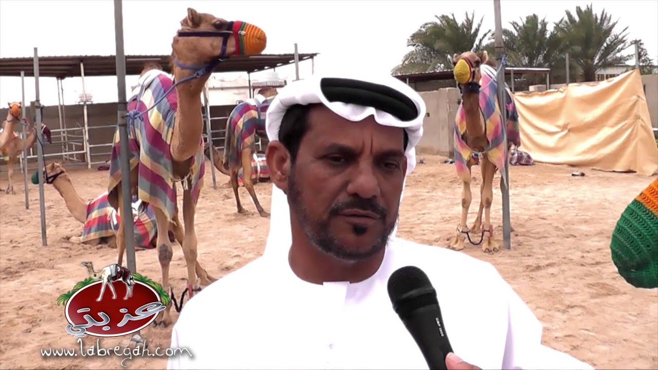 عزبة محمد حسن بالثيمه العامري