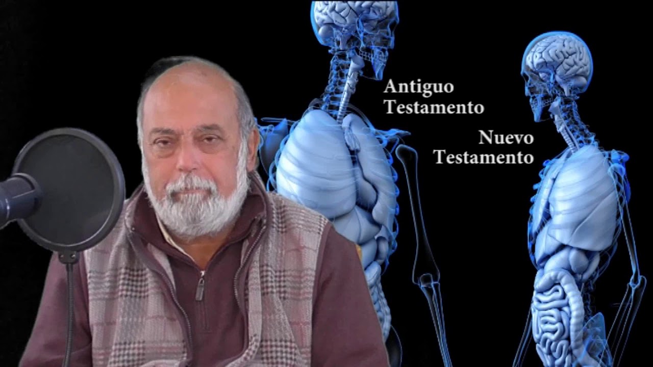 22.- Adán es el Antiguo Testamento y Eva el Nuevo Testamento.