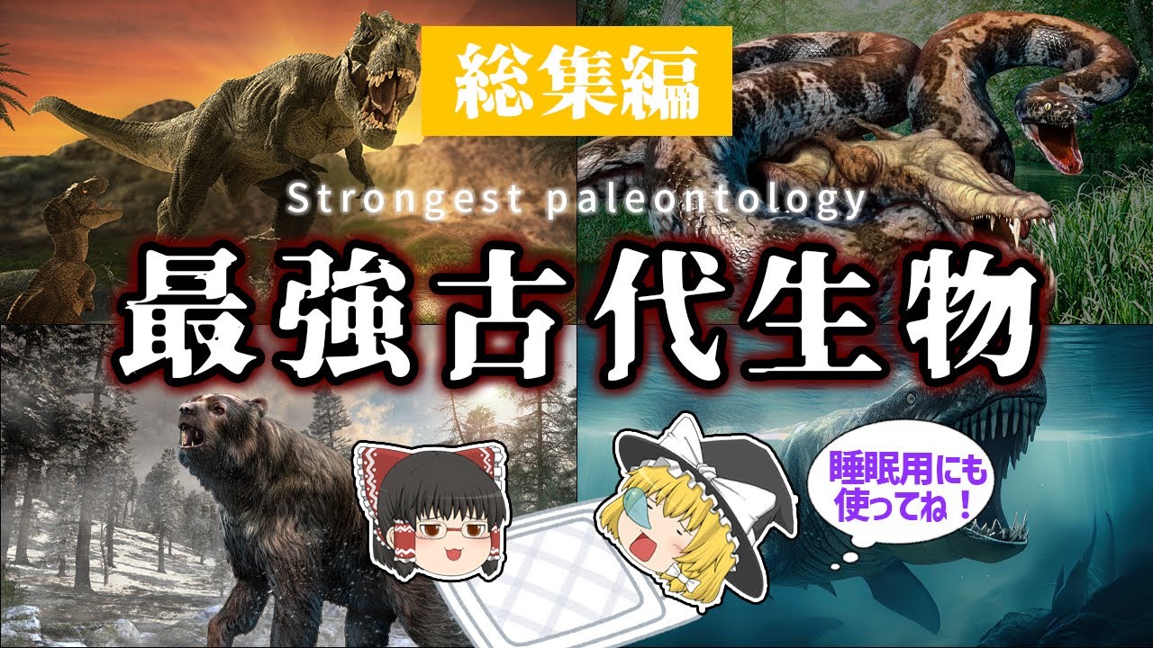 【睡眠用・ゆっくり解説】！危険！最強！古代生物特集！　ティタノボア/ティラノサウルス/メガロドンなど【広告最初のみ　途中広告なし】