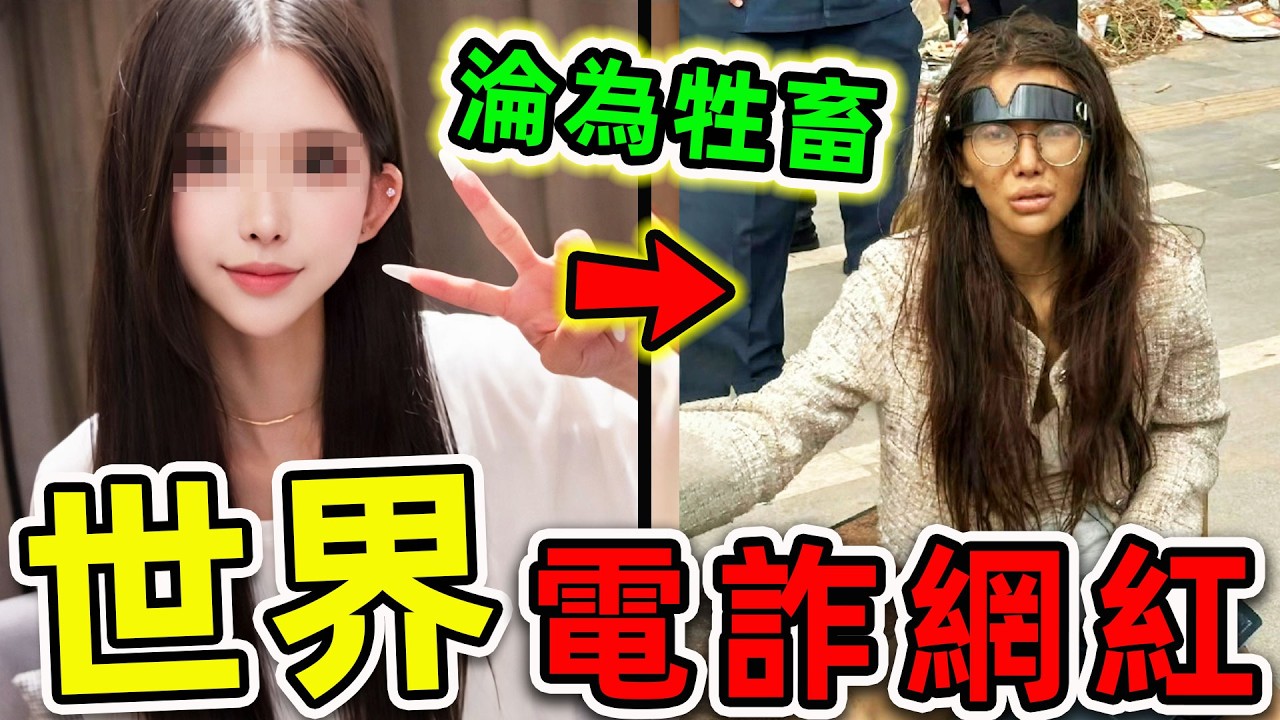 全世界最慘的5個“電詐網紅”！KK園區內部拍攝的恐怖畫面，其中之一7天輪流80次，第一名結局實在太慘。|#世界之最top #世界之最 #環球之最 #腦洞大開 #top10 #電詐網紅