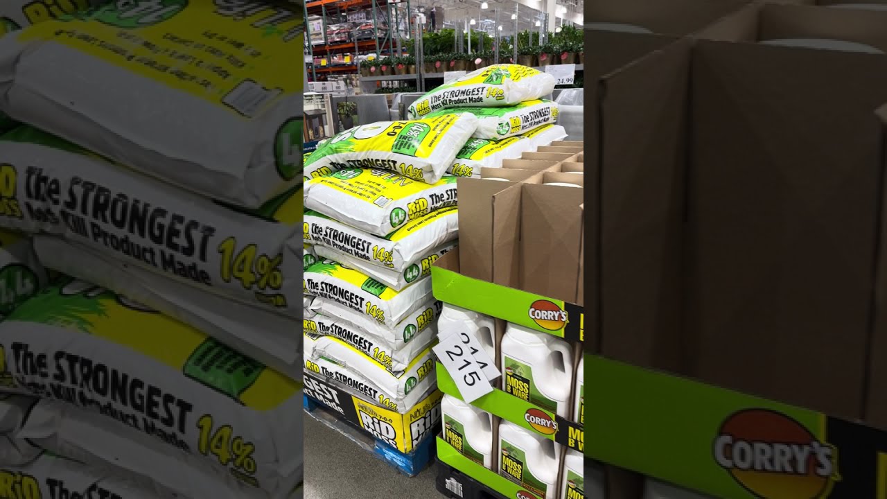 Lo Nuevo en Costco Enero 2026🪴🪴