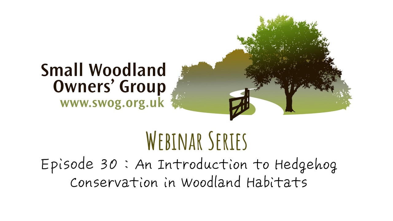An Introduction to Hedgehog Conservation in Woodland Habitats