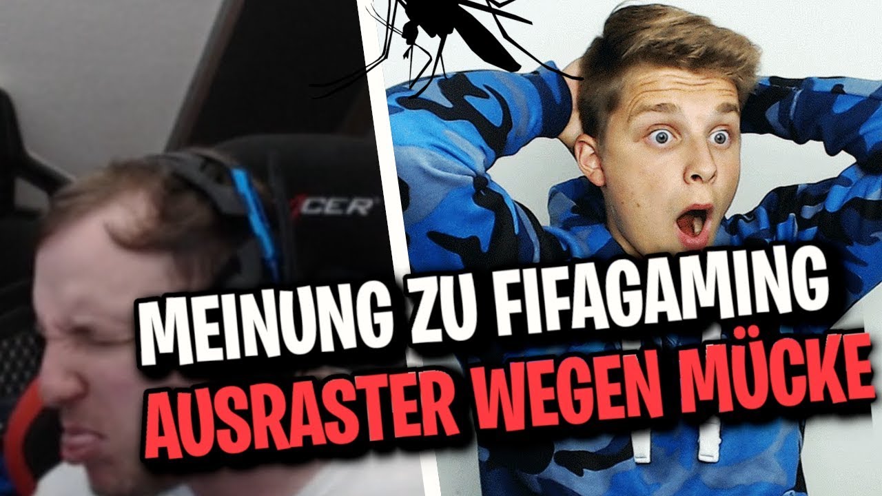 ELoTRiX rastet aus wegen Mücke & Meinung zu Fifagaming | ELoTRiX Livestream Highlights