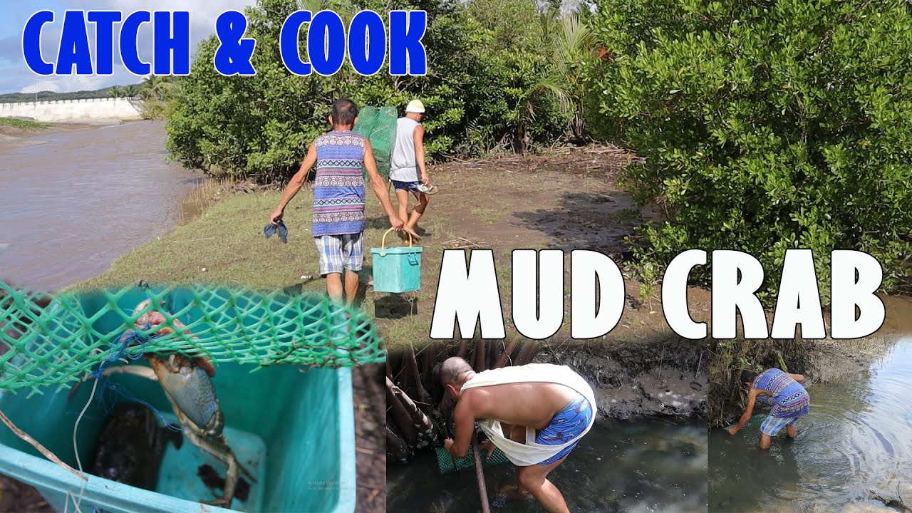 CATCH & COOK | MUD CRAB CALDERETA