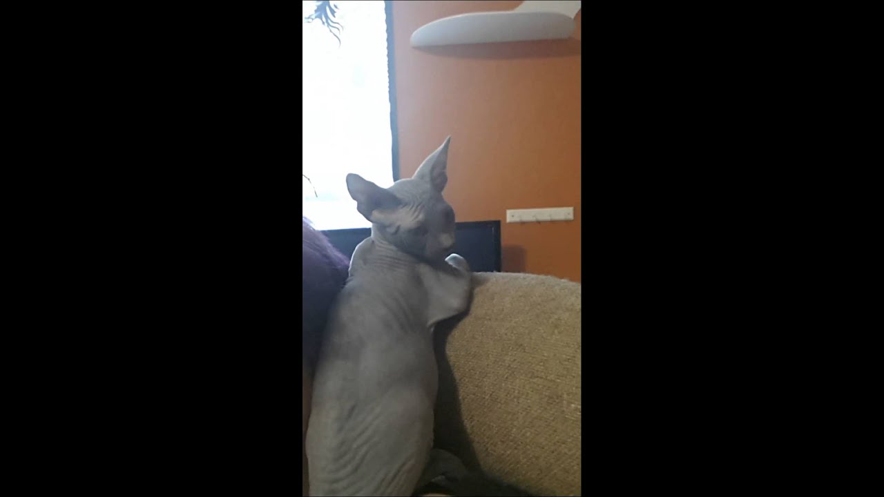 Had to see what she was doing