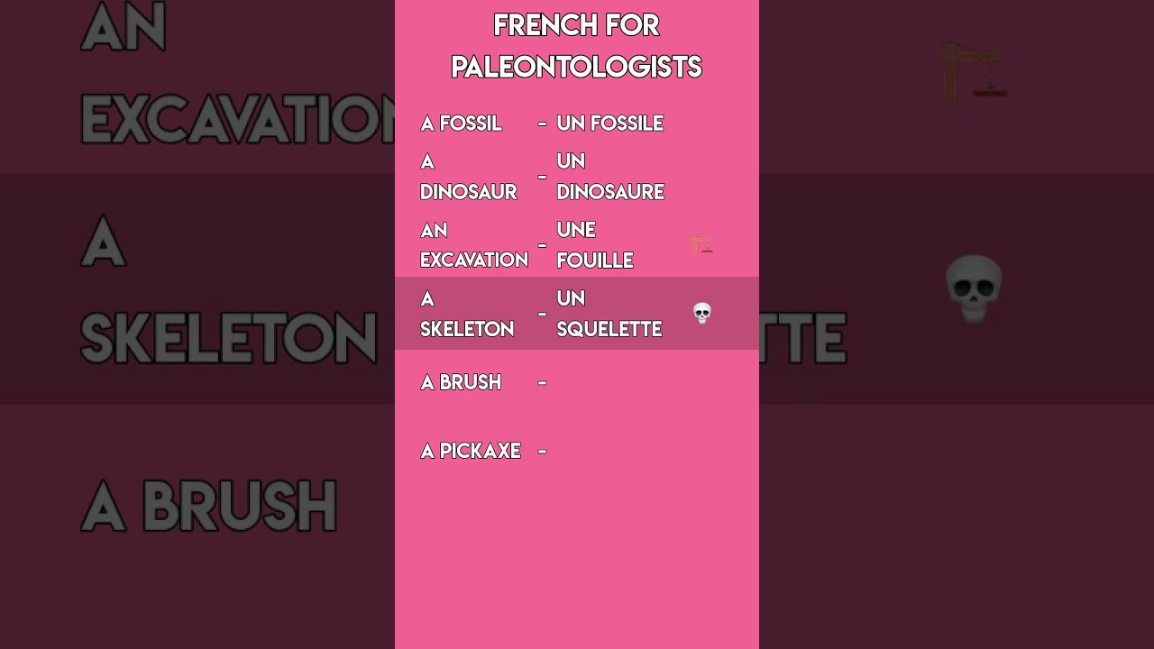 French for Paleontologists 🦖🦴 | Dig Up Some New French Vocabulary!