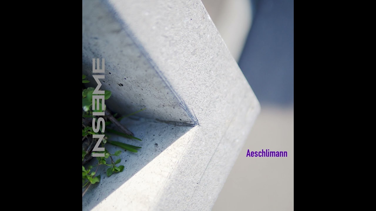 Aeschlimann -  4WA [INSM002]