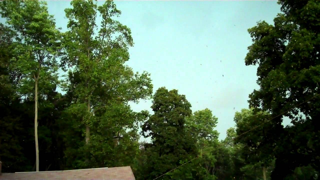 Gust Front