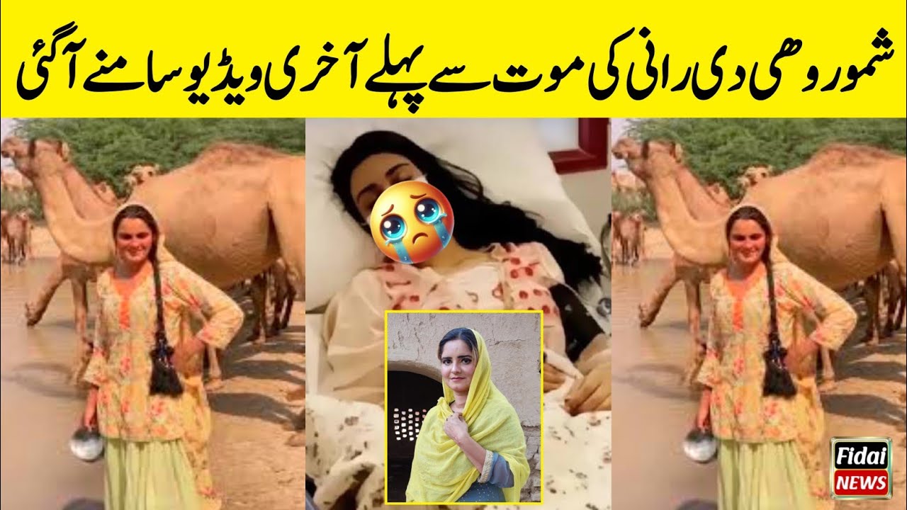 Shamo Rohi Di Rani Last Video | Shamo Rohi Di Rani Death | Rohi Di Rani | Shamo Rohi Di Rani News