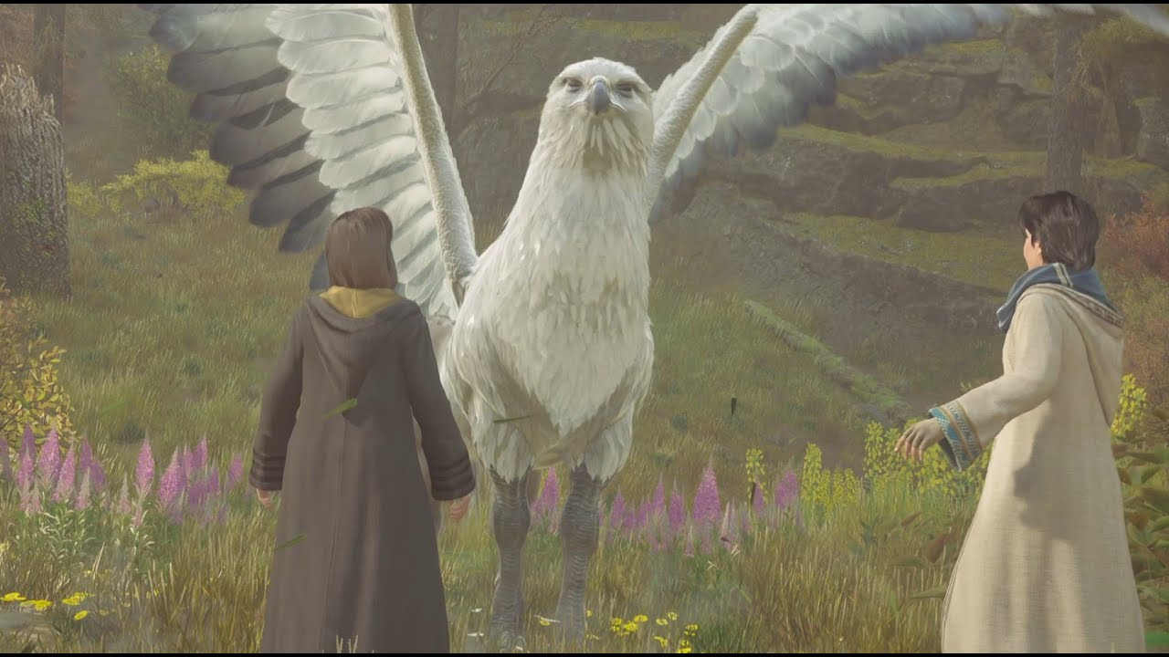 Hogwarts Legacy [#8] 動物学の授業や課題と配達をこなして条件達成→クエスト[アートコットの兜]に挑戦～クリアは次回持ち越しですね(笑)